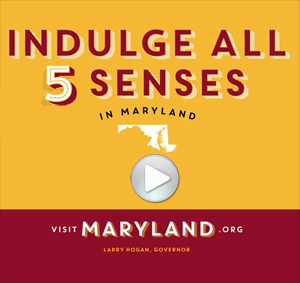 Click here to watch the Five Senses Campaign TV Spot