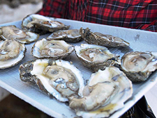 Person carrying a tray of shucked oysters