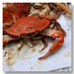 Steamed crab on table