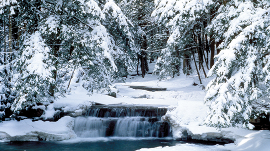 Winter snow in the woods with water falls