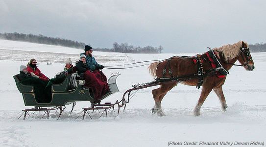 Family enjoying a horse drawn sleigh ride in the snow