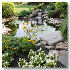 Garden image