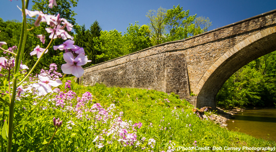 Casselman Bridge in spring. Photo Credit: Bob Carney Photography.