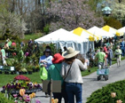 People shopping at an outside Garden Show