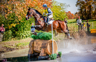 Horse and rider jumping an obstacle in the water