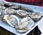 Oysters on a tray