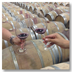 Picture of Wine barrels and two glasses of wine
