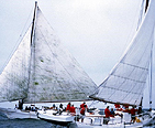 Skipjack Race