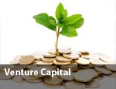 Venture Capital